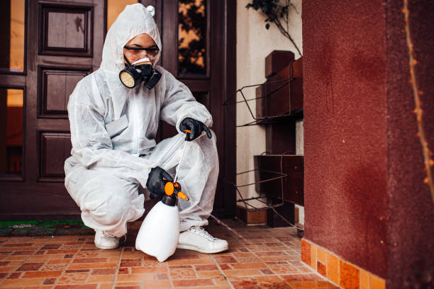 Reliable Wasp Removal contractor in Hillsboro, ND by Show Me Pest Control